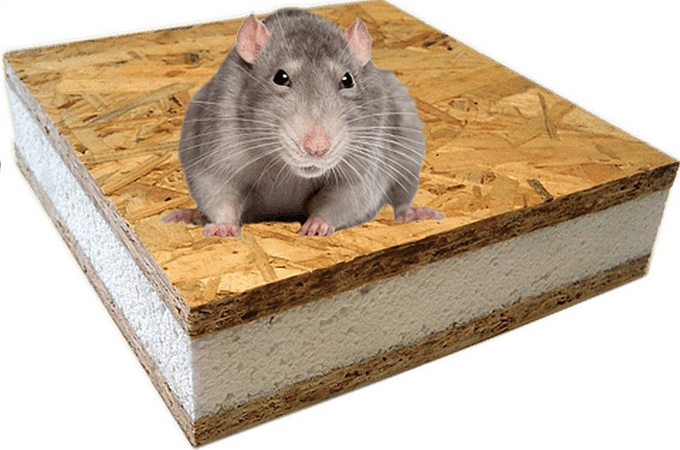 Мыши в домах из СИП-панелей